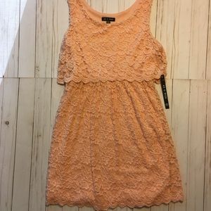 Blush pink dress NWT